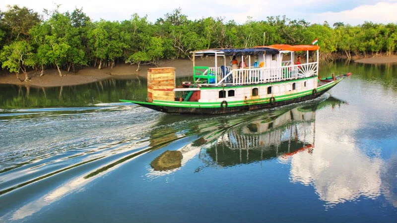 Boat in mangrove